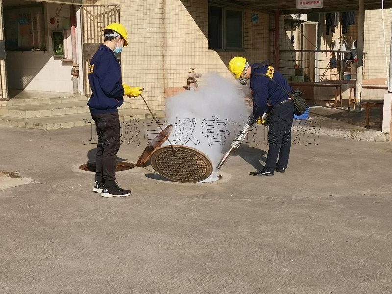 博罗除四害杀虫灭鼠