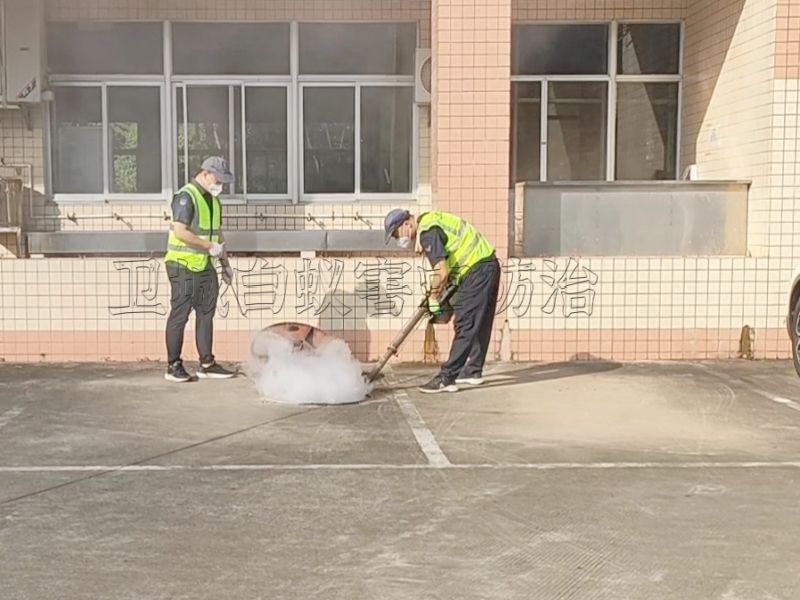 惠阳杀臭虫,秋长工厂灭臭虫,淡水宿舍杀臭虫中心