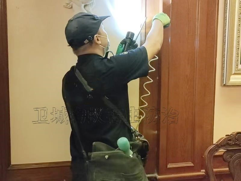 河南岸除杀白蚁公司-河南岸处理白蚂蚁资质认证快速上门