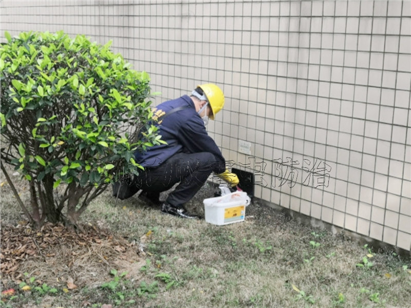 惠城灭鼠公司,怎样理解《百分百灭鼠》