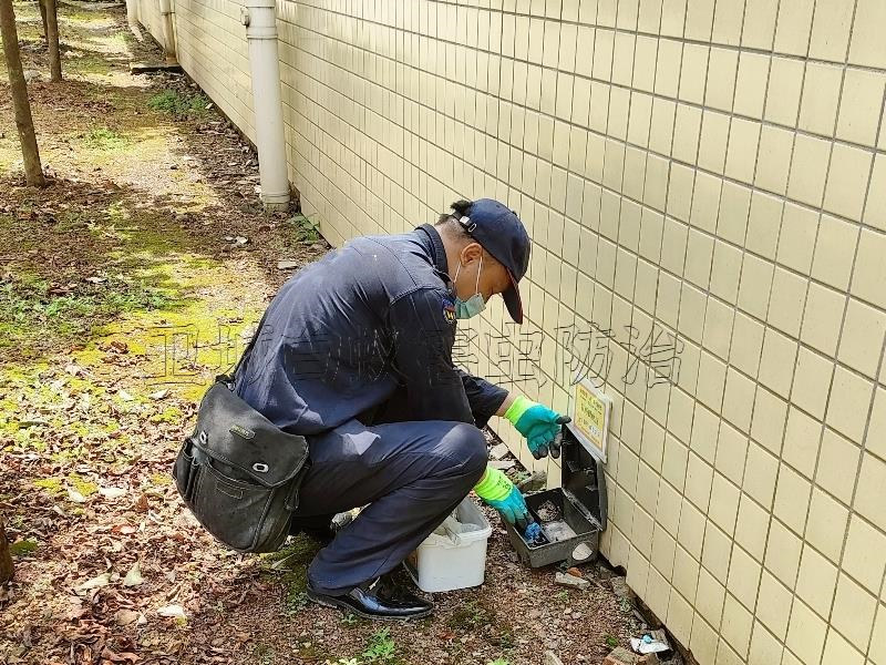 惠州永湖工厂灭鼠公司-惠阳沙田灭鼠超市卖场怎样消灭老鼠