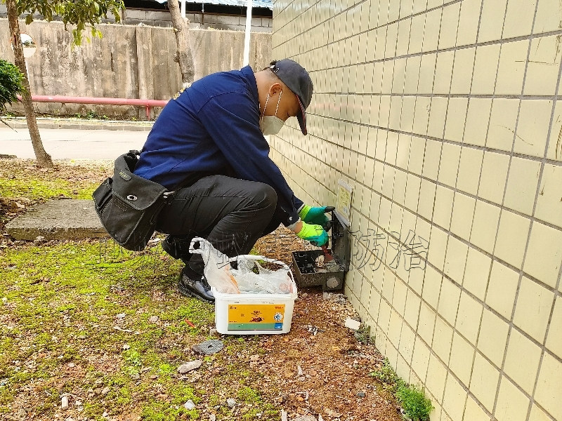 惠州除四害杀虫灭鼠哪家比较好 -推选卫城惠州工厂除四害